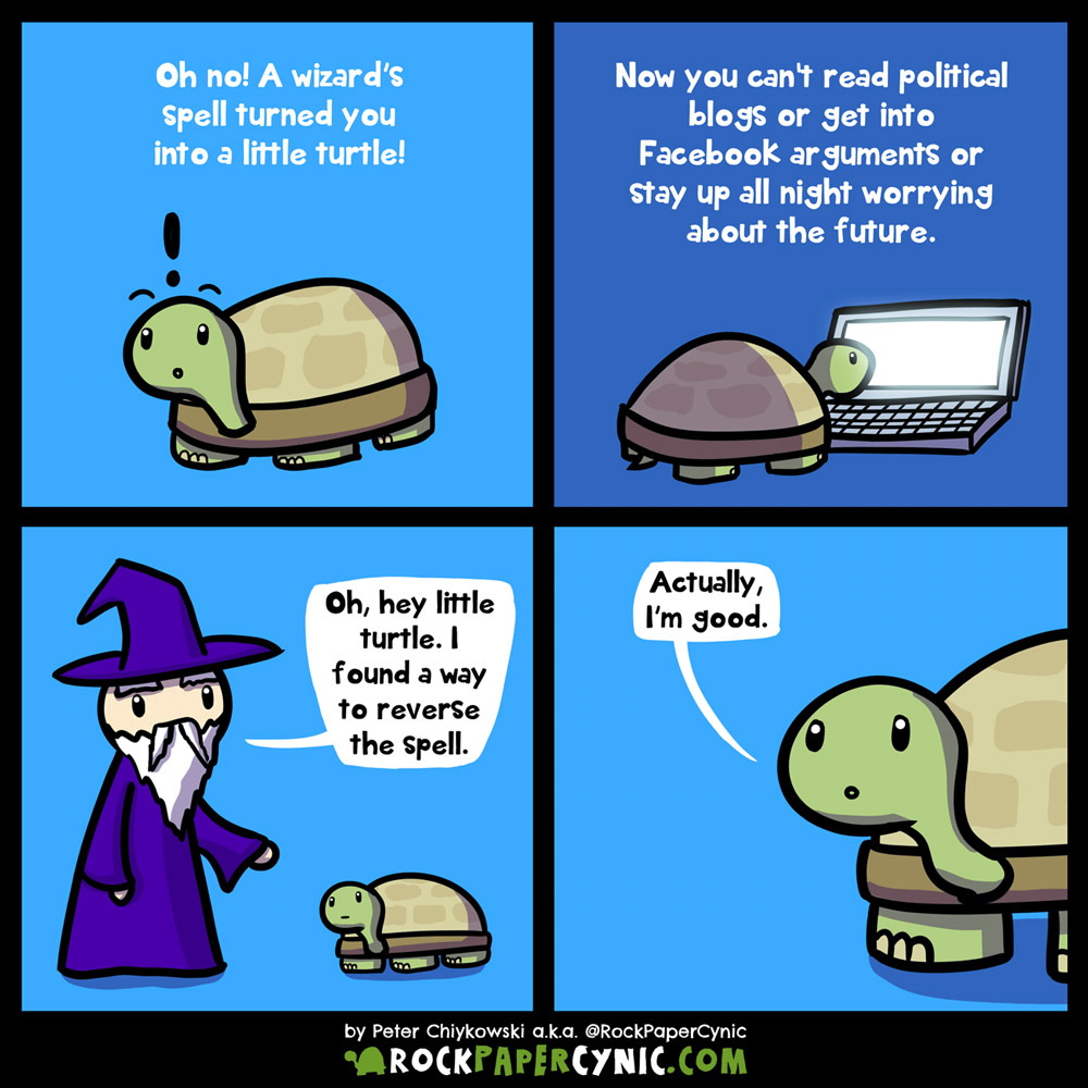 oh no, a wizard's spell has accidentally transformed you into a little turtle!