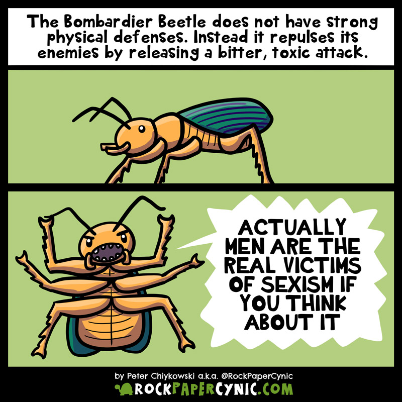 we discover the incredible natural defenses that the Bombardier Beetle uses to repulse its enemies