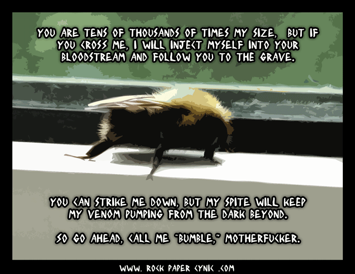 Why Bumblebees Are Way More Hardcore Than You a bumblebee explains exactly how badass a bumblebee can be
