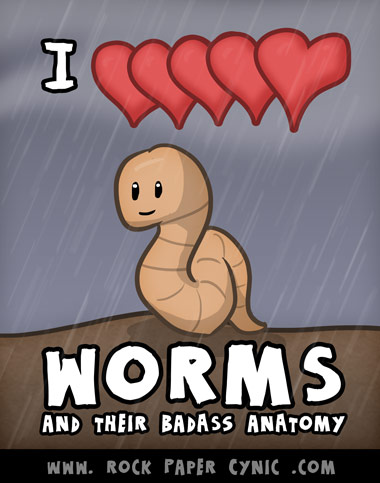 I love worms and worm anatomy (all those hearts, or cardiac arches, or whatever)