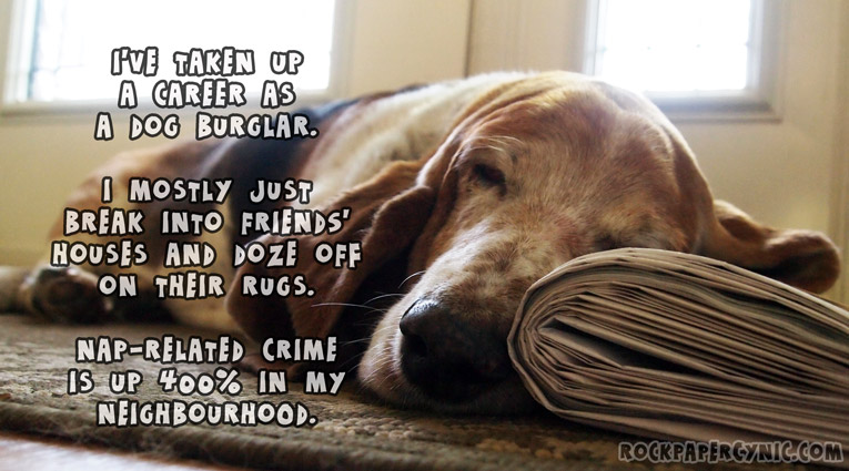 I reveal my life of crime as a notorious, often sleepy, neighbourhood dog burglar