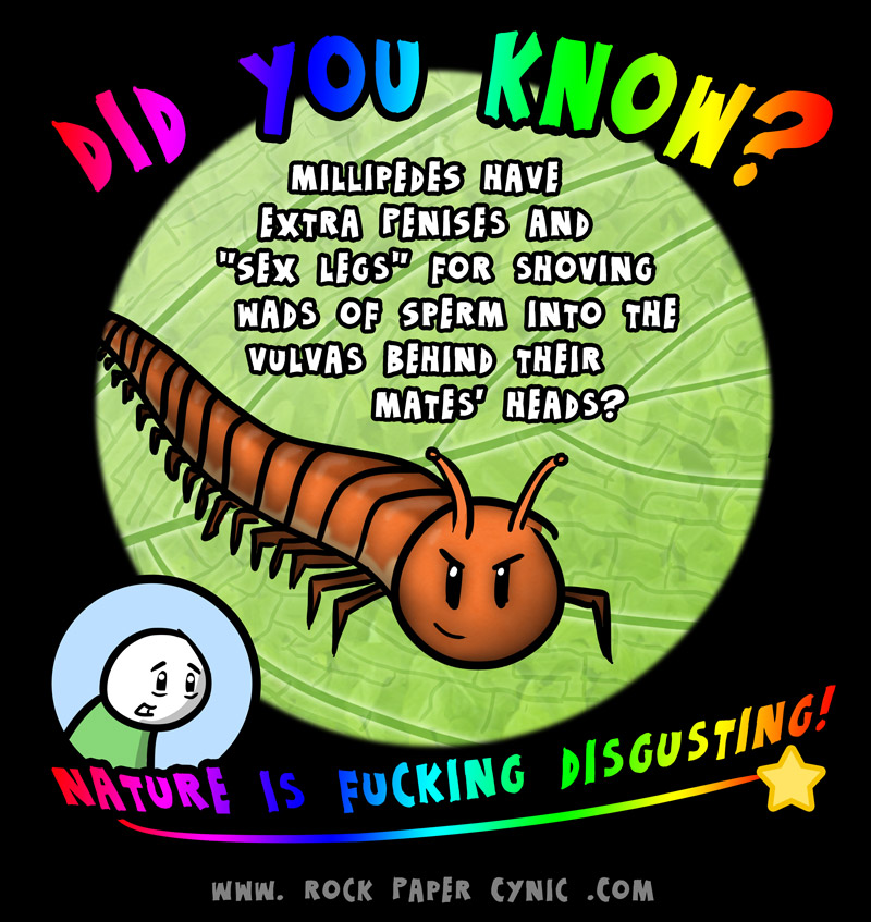 we reveal that the more you know about millipede sex legs and reproduction, the more you want to gouge your eyes out
